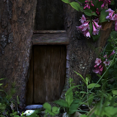 Fox standing before a small door in the hollow of a large tree root among early morning grass