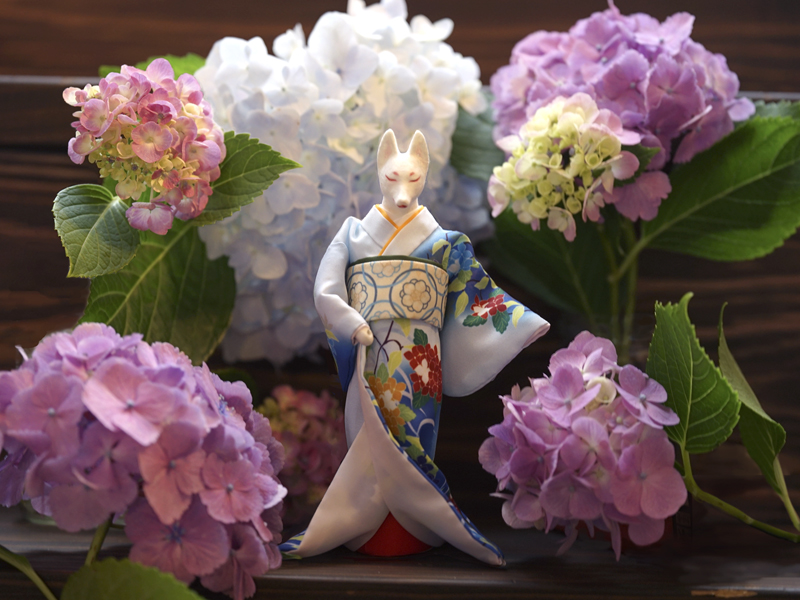 Kimono-wearing fox standing in a hydrangea scene